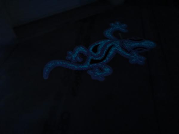 VUE DANS L'OBSUCRITE:SALAMANDRE MISE EN LUMIERE PAR FRAGMENTS PHOSPHORESCENTS